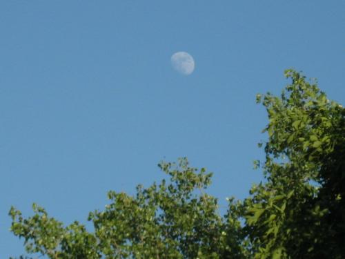 Daytime Moon - This was too nice to pass up. It was around 2 p.m. when I shot this.