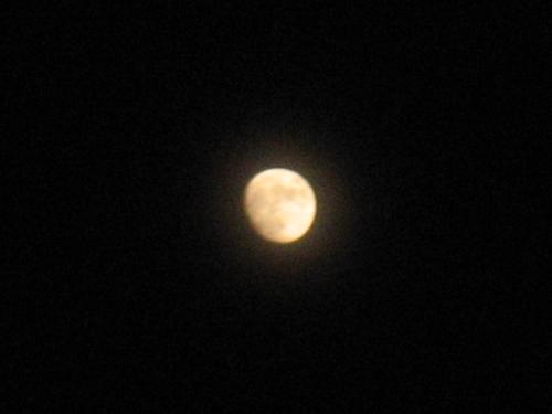 Craters - Here's a shot I took of the moon on Monday the 28th. You can see the craters fairly well. I also love taking photos of the moon and sun.