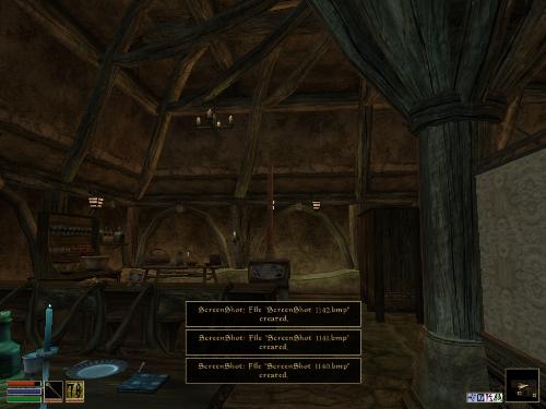 Morrowind - Look at these brilliant pictures of my charecters:geldoir and gelodir AND SOME OF MY NEWEST CHARACTER gul du cott. So do you know that uploading morrowind screenshots are the best way to make money on mylot? Well if you want to know go to morrowinds root dictionary find the sentance: Screenshot enable=0. Turn this into Screenshot enable=1. Now this will allow you to be able to make morrowind screenshots! But now we have a problem! MyLot dosn't accept bitmap! Oh no! So go and get a program like irfanview! An you can turn them all into jpegs!