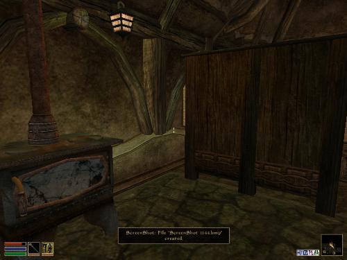 Morrowind - Look at these brilliant pictures of my charecters:geldoir and gelodir AND SOME OF MY NEWEST CHARACTER gul du cott. So do you know that uploading morrowind screenshots are the best way to make money on mylot? Well if you want to know go to morrowinds root dictionary find the sentance: Screenshot enable=0. Turn this into Screenshot enable=1. Now this will allow you to be able to make morrowind screenshots! But now we have a problem! MyLot dosn't accept bitmap! Oh no! So go and get a program like irfanview! An you can turn them all into jpegs!