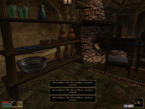 Morrowind - Look at these brilliant pictures of my charecters:geldoir and gelodir AND SOME OF MY NEWEST CHARACTER gul du cott. So do you know that uploading morrowind screenshots are the best way to make money on mylot? Well if you want to know go to morrowinds root dictionary find the sentance: Screenshot enable=0. Turn this into Screenshot enable=1. Now this will allow you to be able to make morrowind screenshots! But now we have a problem! MyLot dosn't accept bitmap! Oh no! So go and get a program like irfanview! An you can turn them all into jpegs!