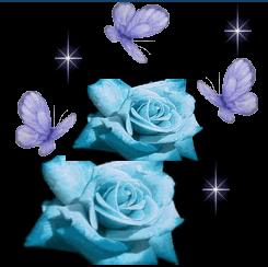 Flowers - Blue Roses Flowers