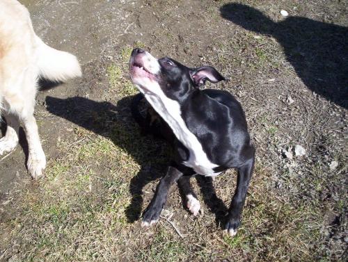 Xena with a BIG ITCH! - Wait a minute mom i have this ITCH and i cannot seem to scratch it at all! lol
