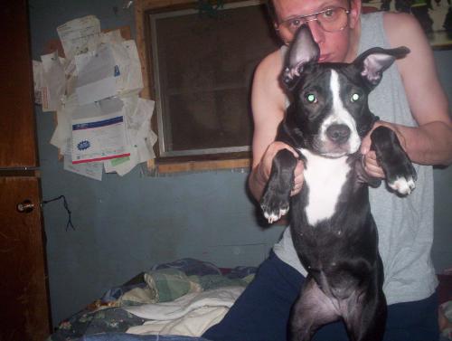 Xena Warrior Princess!  - YAH!!! I am going to fight you to the DEATH! lol!  Xena playing warrior pitbull!