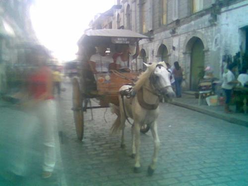 vigan galore - here's a pic taken when I and my family visited vigan, ilocos sur.