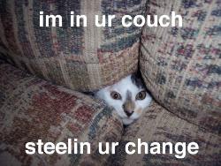 Im in your couch, Stealing your change!! - cat in the couch