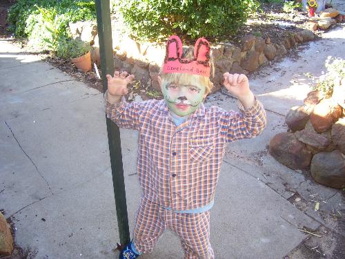 cleveland bear - Boy bear just cubbing around