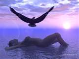 dreams - Im dreaming of a bird flying..