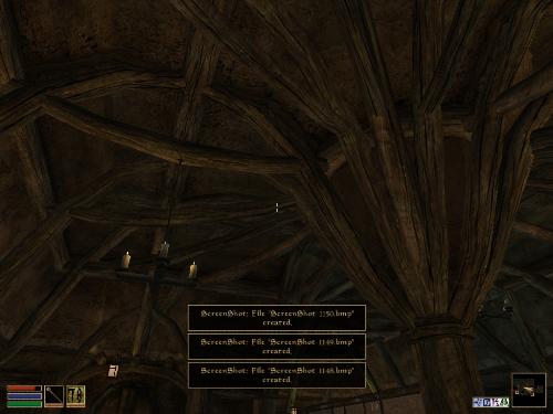Morrowind Screenshots Here - Look at these brilliant pictures of my charecters:geldoir and gelodir AND SOME OF MY NEWEST CHARACTER gul du cott. So do you know that uploading morrowind screenshots are the best way to make money on mylot? Well if you want to know go to morrowinds root dictionary find the sentance: Screenshot enable=0. Turn this into Screenshot enable=1. Now this will allow you to be able to make morrowind screenshots! But now we have a problem! MyLot dosn't accept bitmap! Oh no! So go and get a program like irfanview! An you can turn them all into jpegs!