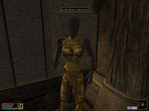 Morrowind Screenshots Here - Look at these brilliant pictures of my charecters:geldoir and gelodir AND SOME OF MY NEWEST CHARACTER gul du cott. So do you know that uploading morrowind screenshots are the best way to make money on mylot? Well if you want to know go to morrowinds root dictionary find the sentance: Screenshot enable=0. Turn this into Screenshot enable=1. Now this will allow you to be able to make morrowind screenshots! But now we have a problem! MyLot dosn't accept bitmap! Oh no! So go and get a program like irfanview! An you can turn them all into jpegs!