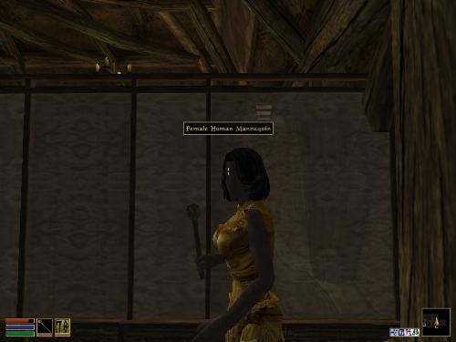 Morrowind Screenshots Here - Look at these brilliant pictures of my charecters:geldoir and gelodir AND SOME OF MY NEWEST CHARACTER gul du cott. So do you know that uploading morrowind screenshots are the best way to make money on mylot? Well if you want to know go to morrowinds root dictionary find the sentance: Screenshot enable=0. Turn this into Screenshot enable=1. Now this will allow you to be able to make morrowind screenshots! But now we have a problem! MyLot dosn't accept bitmap! Oh no! So go and get a program like irfanview! An you can turn them all into jpegs!