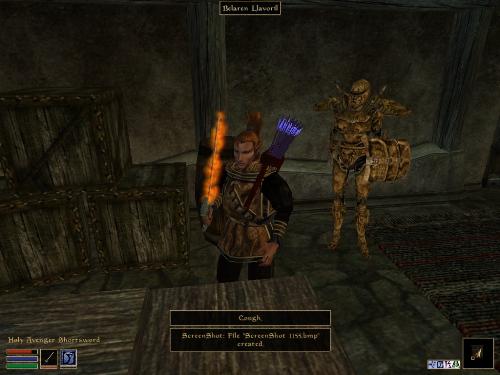 Morrowind Screenshots Here - Look at these brilliant pictures of my charecters:geldoir and gelodir AND SOME OF MY NEWEST CHARACTER gul du cott. So do you know that uploading morrowind screenshots are the best way to make money on mylot? Well if you want to know go to morrowinds root dictionary find the sentance: Screenshot enable=0. Turn this into Screenshot enable=1. Now this will allow you to be able to make morrowind screenshots! But now we have a problem! MyLot dosn't accept bitmap! Oh no! So go and get a program like irfanview! An you can turn them all into jpegs!