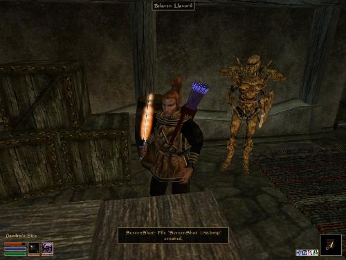 Morrowind Screenshots Here - Look at these brilliant pictures of my charecters:geldoir and gelodir AND SOME OF MY NEWEST CHARACTER gul du cott. So do you know that uploading morrowind screenshots are the best way to make money on mylot? Well if you want to know go to morrowinds root dictionary find the sentance: Screenshot enable=0. Turn this into Screenshot enable=1. Now this will allow you to be able to make morrowind screenshots! But now we have a problem! MyLot dosn't accept bitmap! Oh no! So go and get a program like irfanview! An you can turn them all into jpegs!
