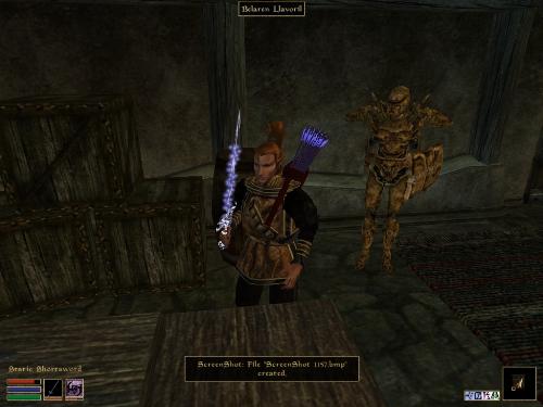Morrowind Screenshots Here - Look at these brilliant pictures of my charecters:geldoir and gelodir AND SOME OF MY NEWEST CHARACTER gul du cott. So do you know that uploading morrowind screenshots are the best way to make money on mylot? Well if you want to know go to morrowinds root dictionary find the sentance: Screenshot enable=0. Turn this into Screenshot enable=1. Now this will allow you to be able to make morrowind screenshots! But now we have a problem! MyLot dosn't accept bitmap! Oh no! So go and get a program like irfanview! An you can turn them all into jpegs!