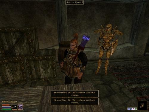Morrowind Screenshots Here - Look at these brilliant pictures of my charecters:geldoir and gelodir AND SOME OF MY NEWEST CHARACTER gul du cott. So do you know that uploading morrowind screenshots are the best way to make money on mylot? Well if you want to know go to morrowinds root dictionary find the sentance: Screenshot enable=0. Turn this into Screenshot enable=1. Now this will allow you to be able to make morrowind screenshots! But now we have a problem! MyLot dosn't accept bitmap! Oh no! So go and get a program like irfanview! An you can turn them all into jpegs!