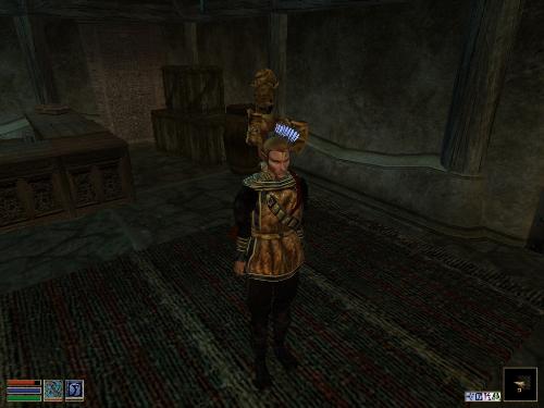Morrowind Screenshots Here - Look at these brilliant pictures of my charecters:geldoir and gelodir AND SOME OF MY NEWEST CHARACTER gul du cott. So do you know that uploading morrowind screenshots are the best way to make money on mylot? Well if you want to know go to morrowinds root dictionary find the sentance: Screenshot enable=0. Turn this into Screenshot enable=1. Now this will allow you to be able to make morrowind screenshots! But now we have a problem! MyLot dosn't accept bitmap! Oh no! So go and get a program like irfanview! An you can turn them all into jpegs!