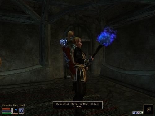 Morrowind Screenshots Here - Look at these brilliant pictures of my charecters:geldoir and gelodir AND SOME OF MY NEWEST CHARACTER gul du cott. So do you know that uploading morrowind screenshots are the best way to make money on mylot? Well if you want to know go to morrowinds root dictionary find the sentance: Screenshot enable=0. Turn this into Screenshot enable=1. Now this will allow you to be able to make morrowind screenshots! But now we have a problem! MyLot dosn't accept bitmap! Oh no! So go and get a program like irfanview! An you can turn them all into jpegs!
