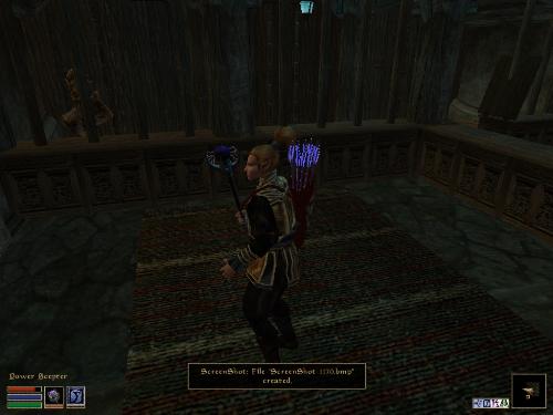 Morrowind Screenshots Here - Look at these brilliant pictures of my charecters:geldoir and gelodir AND SOME OF MY NEWEST CHARACTER gul du cott. So do you know that uploading morrowind screenshots are the best way to make money on mylot? Well if you want to know go to morrowinds root dictionary find the sentance: Screenshot enable=0. Turn this into Screenshot enable=1. Now this will allow you to be able to make morrowind screenshots! But now we have a problem! MyLot dosn't accept bitmap! Oh no! So go and get a program like irfanview! An you can turn them all into jpegs!