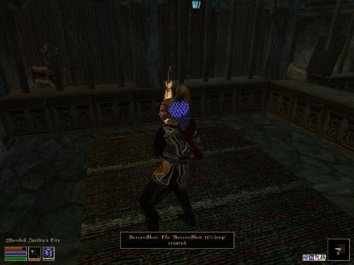 Morrowind Screenshots Here - Look at these brilliant pictures of my charecters:geldoir and gelodir AND SOME OF MY NEWEST CHARACTER gul du cott. So do you know that uploading morrowind screenshots are the best way to make money on mylot? Well if you want to know go to morrowinds root dictionary find the sentance: Screenshot enable=0. Turn this into Screenshot enable=1. Now this will allow you to be able to make morrowind screenshots! But now we have a problem! MyLot dosn't accept bitmap! Oh no! So go and get a program like irfanview! An you can turn them all into jpegs!