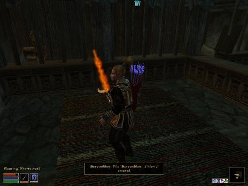 Morrowind Screenshots Here - Look at these brilliant pictures of my charecters:geldoir and gelodir AND SOME OF MY NEWEST CHARACTER gul du cott. So do you know that uploading morrowind screenshots are the best way to make money on mylot? Well if you want to know go to morrowinds root dictionary find the sentance: Screenshot enable=0. Turn this into Screenshot enable=1. Now this will allow you to be able to make morrowind screenshots! But now we have a problem! MyLot dosn't accept bitmap! Oh no! So go and get a program like irfanview! An you can turn them all into jpegs!