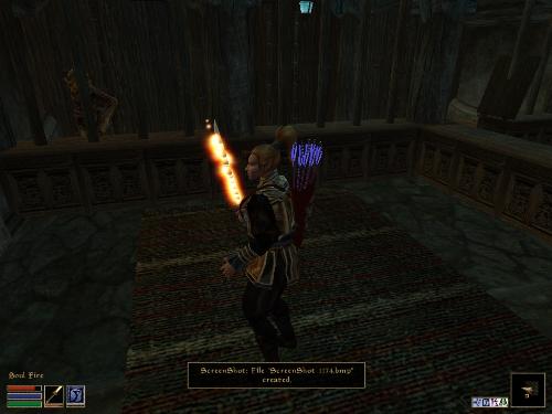 Morrowind Screenshots Here - Look at these brilliant pictures of my charecters:geldoir and gelodir AND SOME OF MY NEWEST CHARACTER gul du cott. So do you know that uploading morrowind screenshots are the best way to make money on mylot? Well if you want to know go to morrowinds root dictionary find the sentance: Screenshot enable=0. Turn this into Screenshot enable=1. Now this will allow you to be able to make morrowind screenshots! But now we have a problem! MyLot dosn't accept bitmap! Oh no! So go and get a program like irfanview! An you can turn them all into jpegs!