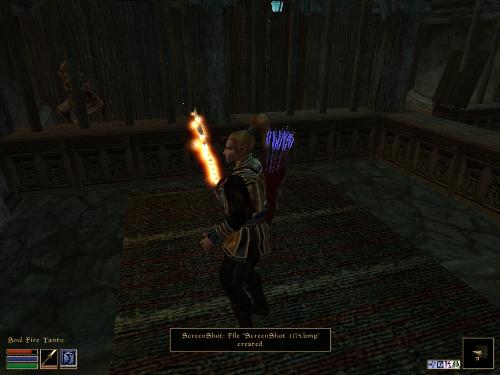 Morrowind Screenshots Here - Look at these brilliant pictures of my charecters:geldoir and gelodir AND SOME OF MY NEWEST CHARACTER gul du cott. So do you know that uploading morrowind screenshots are the best way to make money on mylot? Well if you want to know go to morrowinds root dictionary find the sentance: Screenshot enable=0. Turn this into Screenshot enable=1. Now this will allow you to be able to make morrowind screenshots! But now we have a problem! MyLot dosn't accept bitmap! Oh no! So go and get a program like irfanview! An you can turn them all into jpegs!