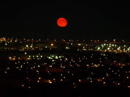 red moon - Photo of a red moon rising.