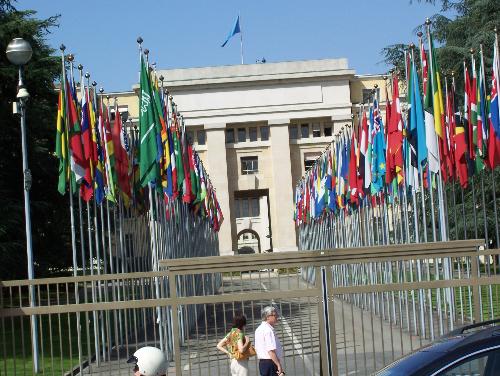 Flags - United Nations is there.
