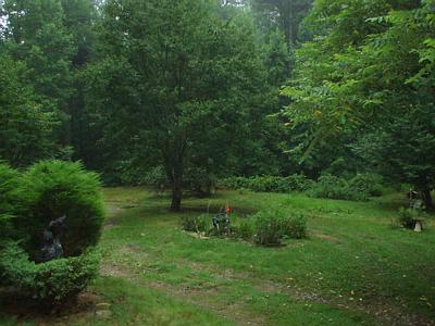 Front yard - This my front yard. Can you see the deer in the photo?