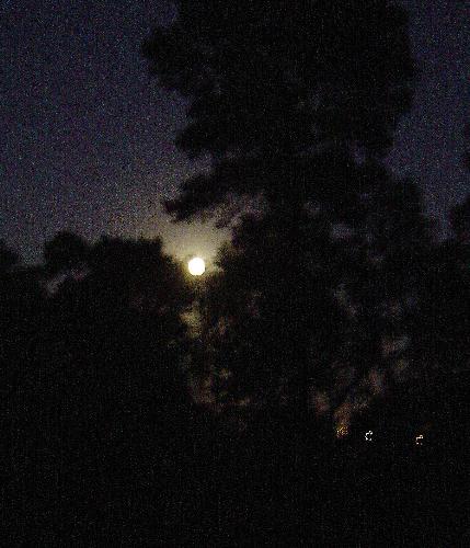 Picture of last night's moon - This is a picture of the full moon in the early hours of 1st June 2007 - the first day of Winter in Australia.