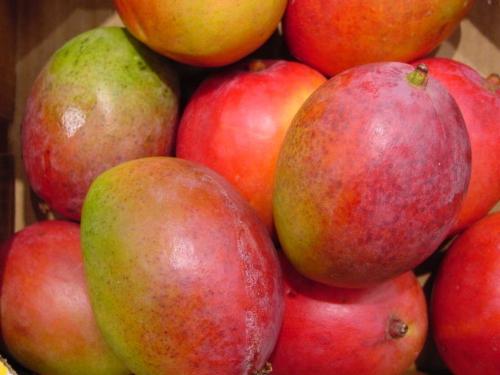 Red mangoes  - This is a unique quality and variety of mango 