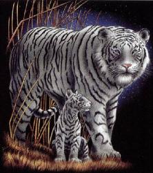 White Tiger - White Tiger