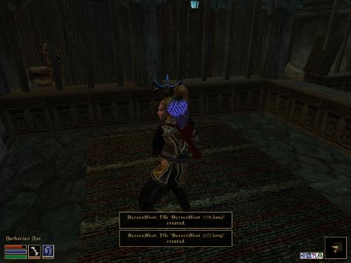 Morrowind Screenshots - Look at these brilliant pictures of my charecters:geldoir and gelodir AND SOME OF MY NEWEST CHARACTER gul du cott. So do you know that uploading morrowind screenshots are the best way to make money on mylot? Well if you want to know go to morrowinds root dictionary find the sentance: Screenshot enable=0. Turn this into Screenshot enable=1. Now this will allow you to be able to make morrowind screenshots! But now we have a problem! MyLot dosn't accept bitmap! Oh no! So go and get a program like irfanview! An you can turn them all into jpegs!