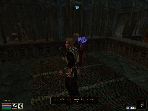 Morrowind Screenshots - Look at these brilliant pictures of my charecters:geldoir and gelodir AND SOME OF MY NEWEST CHARACTER gul du cott. So do you know that uploading morrowind screenshots are the best way to make money on mylot? Well if you want to know go to morrowinds root dictionary find the sentance: Screenshot enable=0. Turn this into Screenshot enable=1. Now this will allow you to be able to make morrowind screenshots! But now we have a problem! MyLot dosn't accept bitmap! Oh no! So go and get a program like irfanview! An you can turn them all into jpegs!