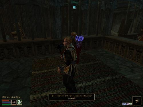 Morrowind Screenshots - Look at these brilliant pictures of my charecters:geldoir and gelodir AND SOME OF MY NEWEST CHARACTER gul du cott. So do you know that uploading morrowind screenshots are the best way to make money on mylot? Well if you want to know go to morrowinds root dictionary find the sentance: Screenshot enable=0. Turn this into Screenshot enable=1. Now this will allow you to be able to make morrowind screenshots! But now we have a problem! MyLot dosn't accept bitmap! Oh no! So go and get a program like irfanview! An you can turn them all into jpegs!