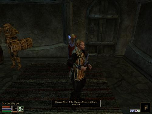 Morrowind Screenshots - Look at these brilliant pictures of my charecters:geldoir and gelodir AND SOME OF MY NEWEST CHARACTER gul du cott. So do you know that uploading morrowind screenshots are the best way to make money on mylot? Well if you want to know go to morrowinds root dictionary find the sentance: Screenshot enable=0. Turn this into Screenshot enable=1. Now this will allow you to be able to make morrowind screenshots! But now we have a problem! MyLot dosn't accept bitmap! Oh no! So go and get a program like irfanview! An you can turn them all into jpegs!
