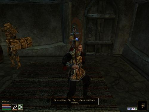 Morrowind Screenshots - Look at these brilliant pictures of my charecters:geldoir and gelodir AND SOME OF MY NEWEST CHARACTER gul du cott. So do you know that uploading morrowind screenshots are the best way to make money on mylot? Well if you want to know go to morrowinds root dictionary find the sentance: Screenshot enable=0. Turn this into Screenshot enable=1. Now this will allow you to be able to make morrowind screenshots! But now we have a problem! MyLot dosn't accept bitmap! Oh no! So go and get a program like irfanview! An you can turn them all into jpegs!