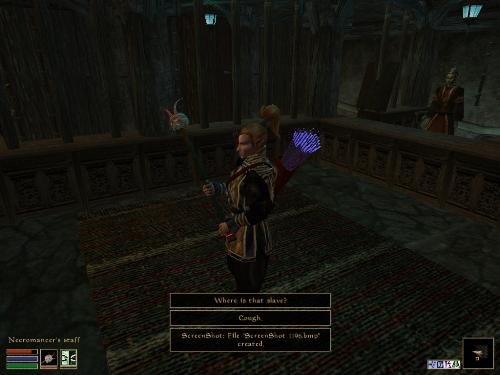 Morrowind Screenshots - Look at these brilliant pictures of my charecters:geldoir and gelodir AND SOME OF MY NEWEST CHARACTER gul du cott. So do you know that uploading morrowind screenshots are the best way to make money on mylot? Well if you want to know go to morrowinds root dictionary find the sentance: Screenshot enable=0. Turn this into Screenshot enable=1. Now this will allow you to be able to make morrowind screenshots! But now we have a problem! MyLot dosn't accept bitmap! Oh no! So go and get a program like irfanview! An you can turn them all into jpegs!