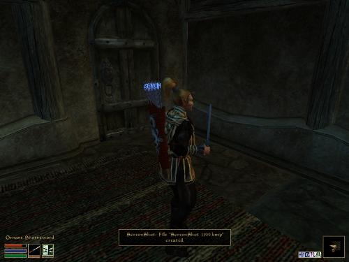 Morrowind Screenshots - Look at these brilliant pictures of my charecters:geldoir and gelodir AND SOME OF MY NEWEST CHARACTER gul du cott. So do you know that uploading morrowind screenshots are the best way to make money on mylot? Well if you want to know go to morrowinds root dictionary find the sentance: Screenshot enable=0. Turn this into Screenshot enable=1. Now this will allow you to be able to make morrowind screenshots! But now we have a problem! MyLot dosn't accept bitmap! Oh no! So go and get a program like irfanview! An you can turn them all into jpegs!