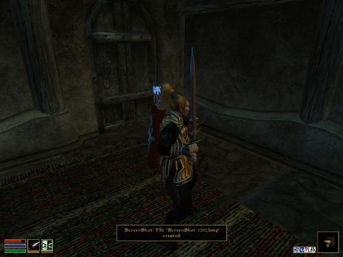 Morrowind Screenshots - Look at these brilliant pictures of my charecters:geldoir and gelodir AND SOME OF MY NEWEST CHARACTER gul du cott. So do you know that uploading morrowind screenshots are the best way to make money on mylot? Well if you want to know go to morrowinds root dictionary find the sentance: Screenshot enable=0. Turn this into Screenshot enable=1. Now this will allow you to be able to make morrowind screenshots! But now we have a problem! MyLot dosn't accept bitmap! Oh no! So go and get a program like irfanview! An you can turn them all into jpegs!