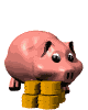 pig - money pig