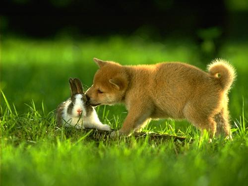 Cute............... - How U feeeel..............