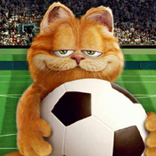 cat - lovely