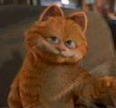 cat - cartoon