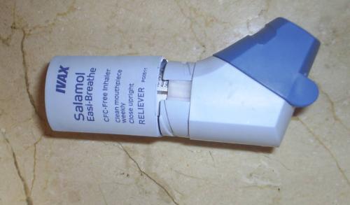 My inhaler - I have to use an asthma inhaler now that I am growing older and my allergies have becom very severe. Luckily I don't have to use it every day, but some times of the year are much worse than other.