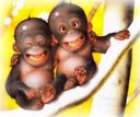 Another Twins - Twins