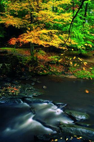 imagination - nature