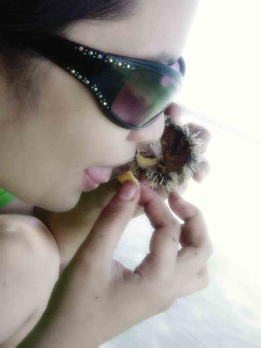 exotic food - do u also eat exotic food?.. what kind of exotic food have u tried?..