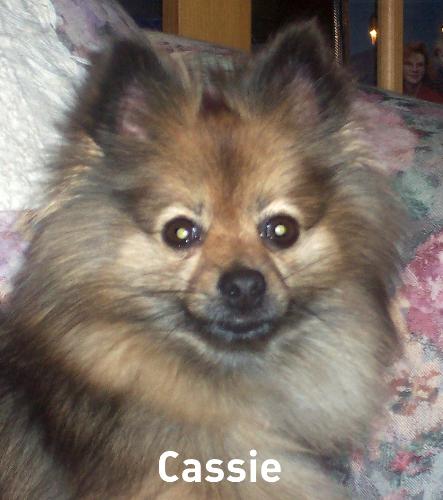 Cassie - Cassie&#039;s Portrait:-)
