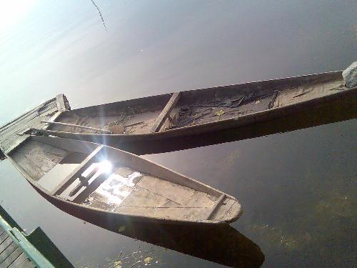 Shikara - Shikara's ..the only means of transport in DAL lake. Dal lake is one the biggest natural lakes in the world